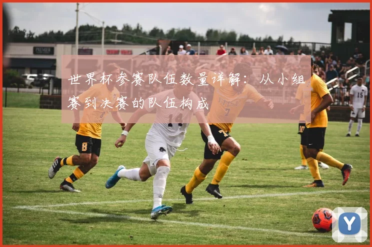 世界杯参赛队伍数量详解：从小组赛到决赛的队伍构成
