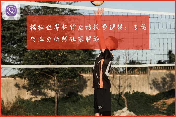 揭秘世界杯背后的投资逻辑，专访行业分析师独家解读