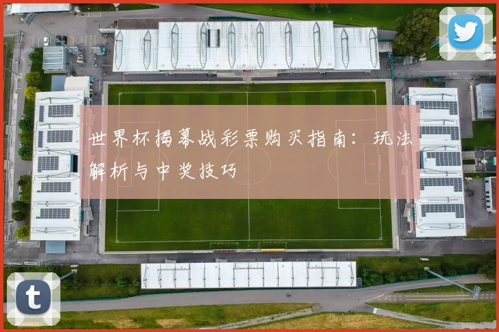 世界杯揭幕战彩票购买指南：玩法解析与中奖技巧