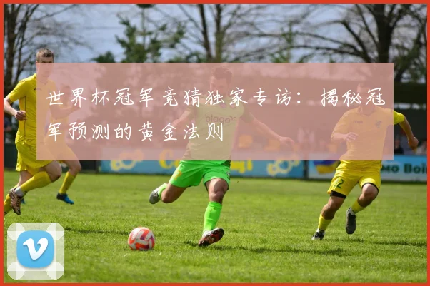 世界杯冠军竞猜独家专访:揭秘冠军预测的黄金法则