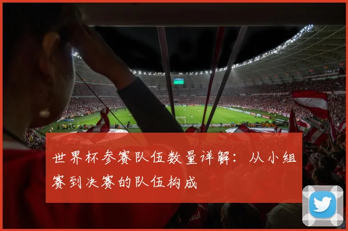 世界杯参赛队伍数量详解：从小组赛到决赛的队伍构成