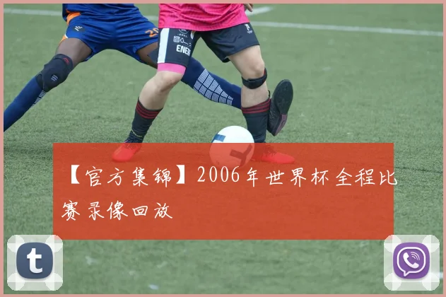 【官方集锦】2006年世界杯全程比赛录像回放