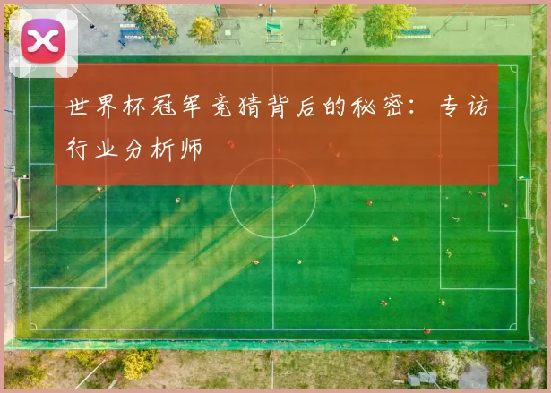 世界杯冠军竞猜背后的秘密:专访行业分析师