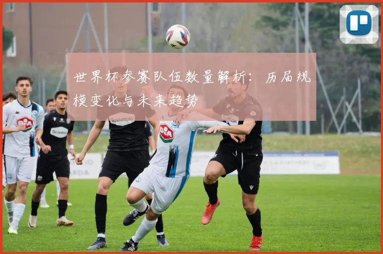 世界杯参赛队伍数量解析：历届规模变化与未来趋势
